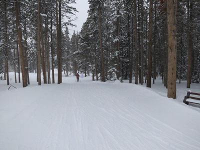 Cross-country ski trail through snowy forest at the Breckenridge Nordic Center. Photo: [christinejwarner](https://www.flickr.com/photos/9987846@N08/11867394856), [CC BY 2.0](https://creativecommons.org/licenses/by/2.0/).