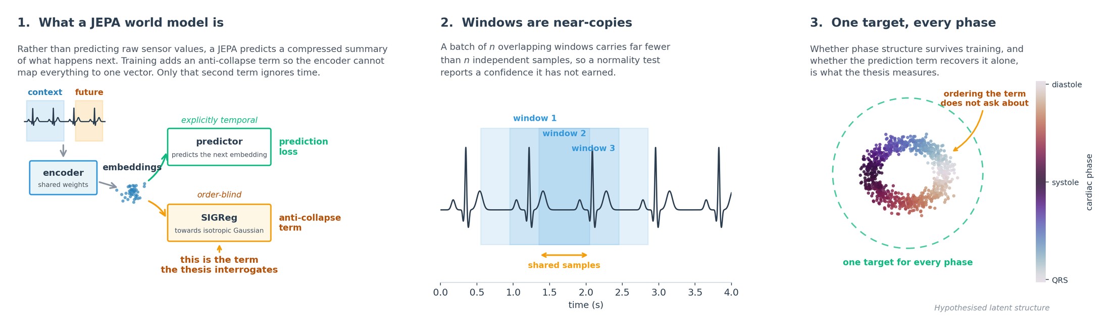 Learning World Models from Physiological Time Series